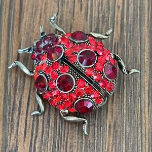 Red Crystal Ladybug Brooch